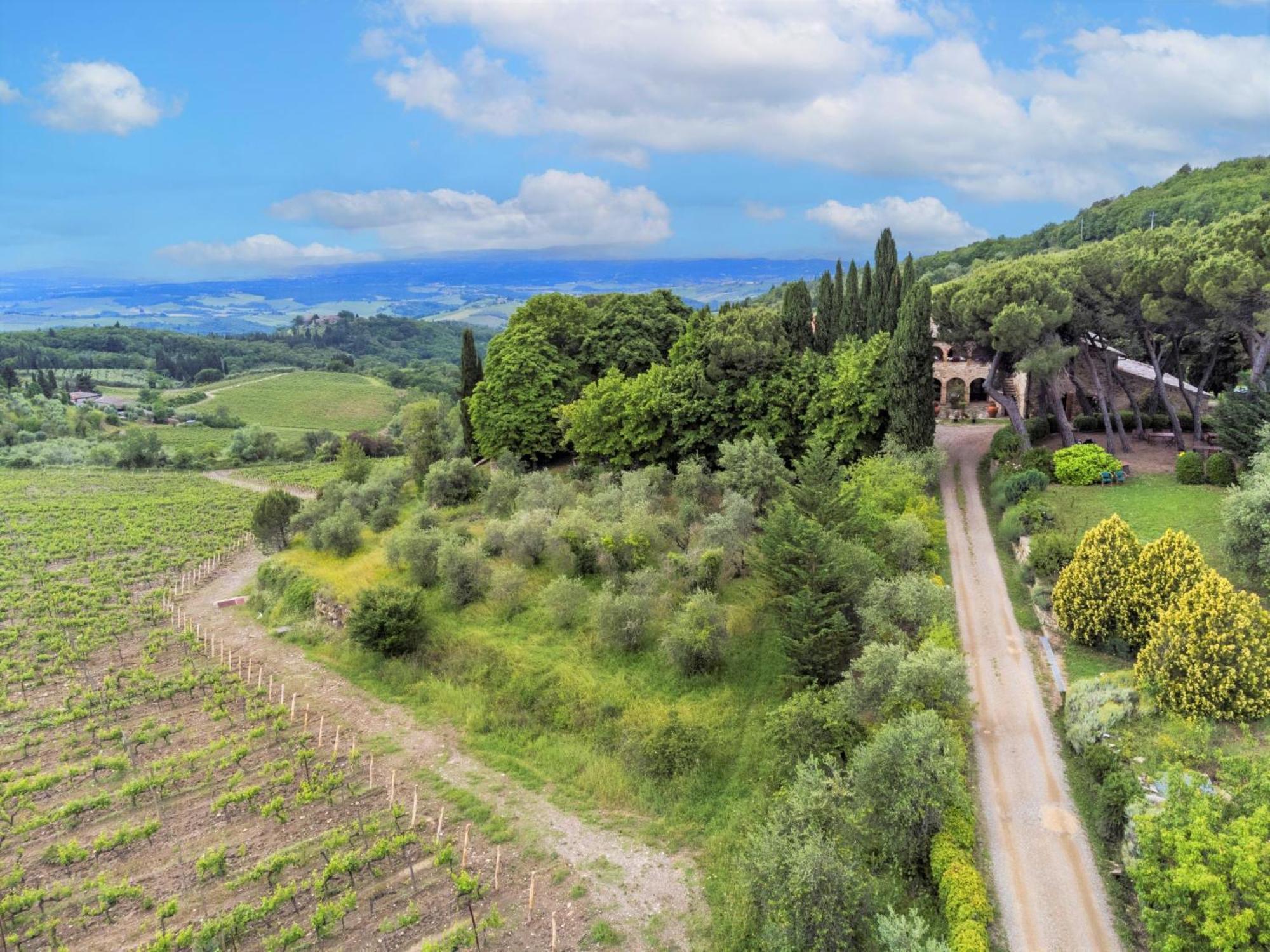 Apartment Cellole - Torretta - Ctc153 By Interhome Castellina in Chianti Buitenkant foto